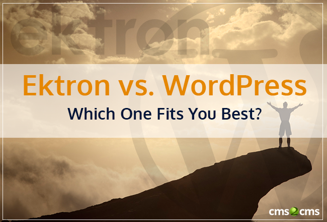 ektron-to-wordpress