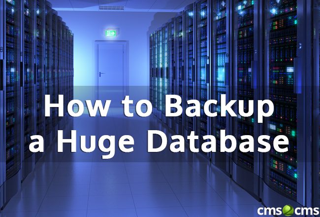 Backup a Huge Database