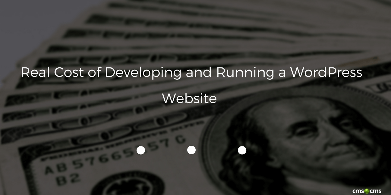 Real Cost of Developing and Running a WordPress Website