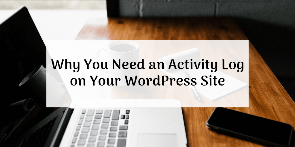 audit logs better manage WordPress